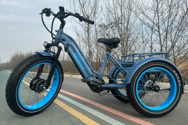 TriHauler Cargo Fat Tire Etrike (Fully Assembled) e-bike - Image 3