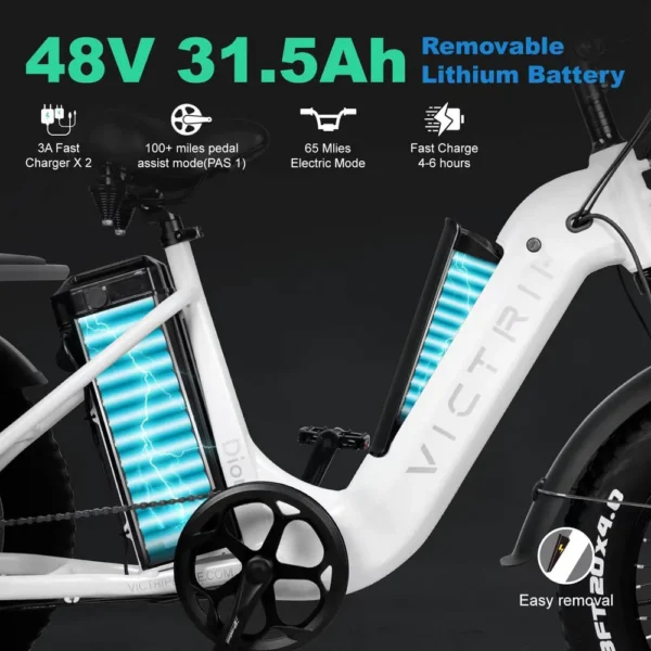 Wallke Victrip Dione Electric Trike E-Bike - Image 6