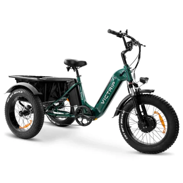 Wallke Victrip Dione Electric Trike E-Bike - Image 8