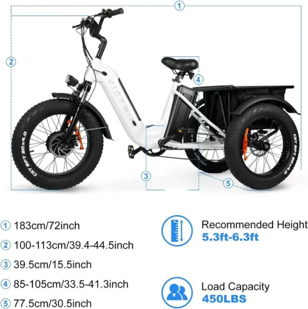 Wallke Victrip Dione Electric Trike E-Bike - Image 2