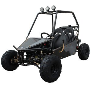 2021 GKM 125CC 2-Seater Off-road gas Go Kart