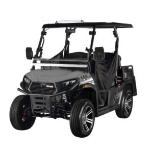 Aodes TrailCross 250 EFI Golf, 169cc, 4-Stroke, Single-Cylinder, Oil-Cooled