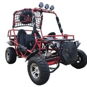 DF-MOTO 200 Go Kart Type G