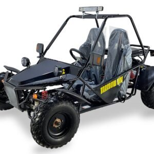 Ice Bear Barstow 200 Go-Kart, 200cc Engine, Automatic with Reverse, Air Cooled, Dual Seats, 10" Wheels (PAG200-1)