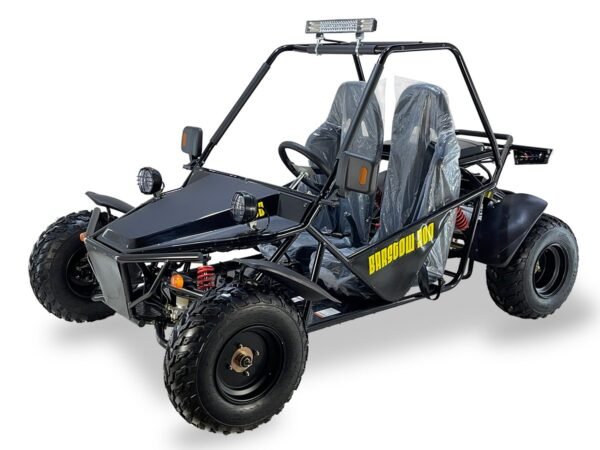 Ice Bear Barstow 200 Go-Kart, 200cc Engine, Automatic with Reverse, Air Cooled, Dual Seats, 10" Wheels (PAG200-1)