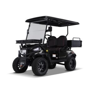 Kandi Kruiser 2-Passenger Electric Golf Cart with AGM Battery, 15 MPH