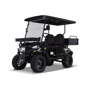Kandi Kruiser 2-Passenger Electric Golf Cart with AGM Battery