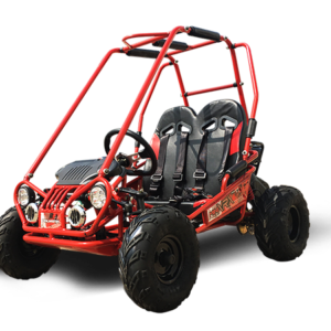 MINI XRX+ Kids GoKart, 5.5hp Gas Engine with Electric Start, Remote Start/Kill, Ages 4-9 - Red