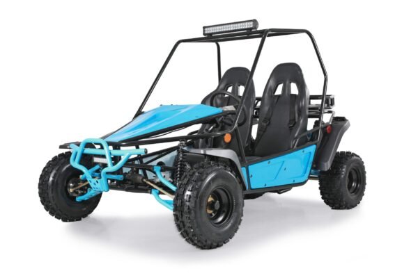 Tao Motor Baja Sport 200 Go-Kart, Air-Cooled 4-Stroke, Fully Automatic with Reverse