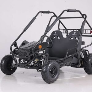 Tao Motor New Baja Sprinter 200 Go-Kart, 196cc Engine, 4-Stroke, Manual Pull Start