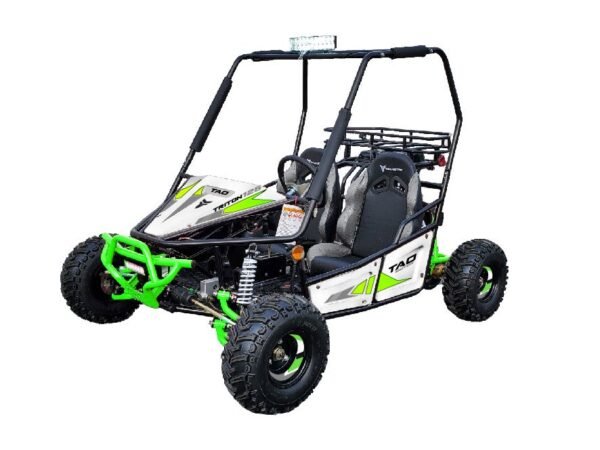 Tao Motor Triton 125Cc Go-kart, Fully Automatic With Reverse, Air Cooled, 4-Stroke, Single Cylinder, Electric Start
