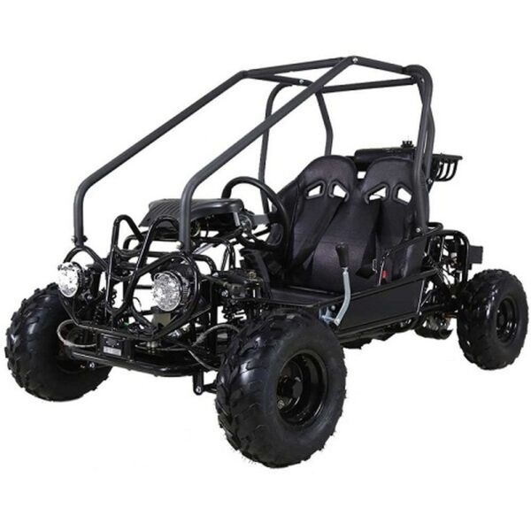 Taotao GK110 110CC Youth Go Kart, Automatic with Reverse