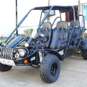 TrailMaster 300 XRS4 Go Kart, CVT Fully Automatic Liquid Cool Engine