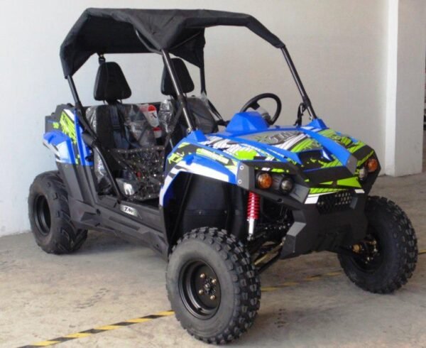 Trailmaster Challenger 300 EFI Side by Side