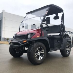 Trailmaster Taurus 200 MFV (Side By Side) 4-Stroke, Single Cylinder, Air And Oil Cooled