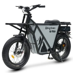 OFF ROAD Electric Cargo Bike for Adults 550LBS, 2000W with Removable Battery