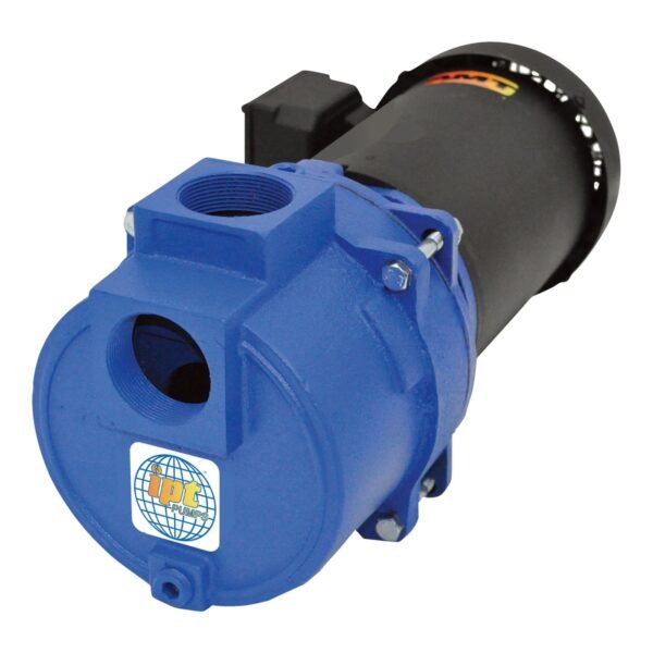 IPT Cast Iron Self-Priming Centrifugal Sewage/Trash Water Pump — 2in. Ports, Model# 316AIPT95