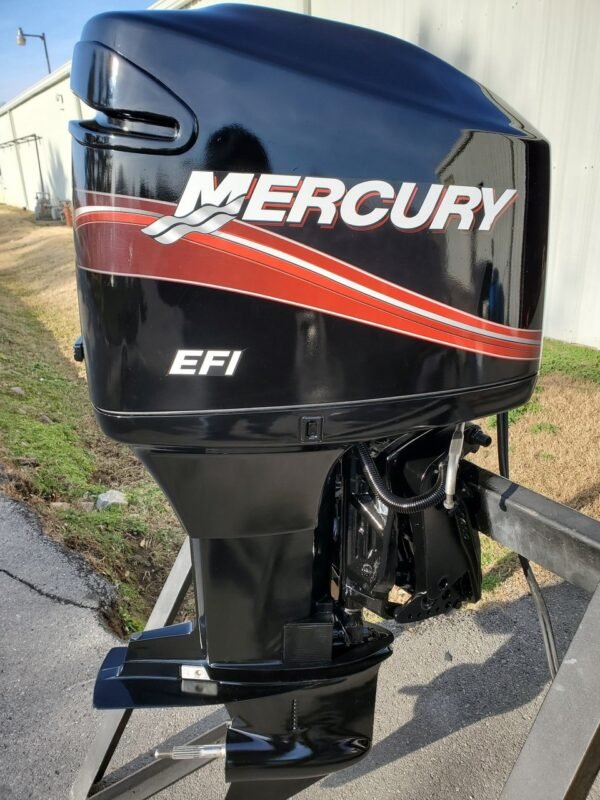2001 Mercury 175 HP 6-Cylinder EFI 2-Stroke 20" (L) Outboard Motor