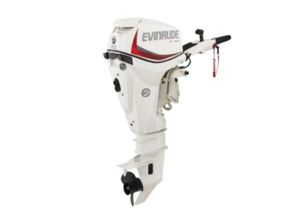 Evinrude E30DRG E-TEC Outboard Motor