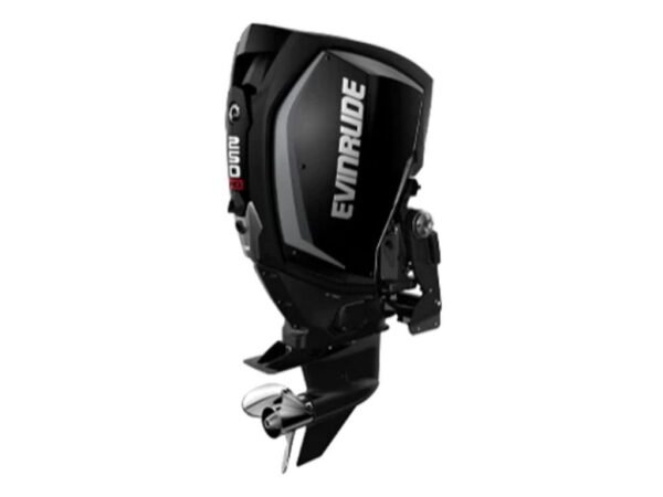 Evinrude H250HGLF 250 H.O Outboard Motor