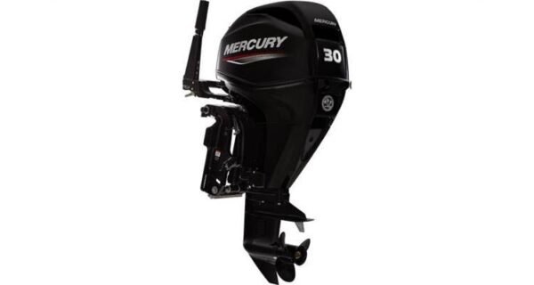 2022 Mercury FourStroke 30 HP EFI 526cc L3 15" Shaft