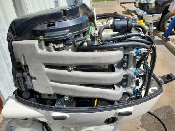2003 Johnson 50 HP 3-Cylinder EFI 4-Stroke 20" (L) Outboard Motor - Image 5