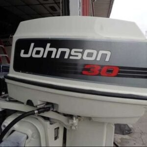 1986 Johnson 30 HP 2 Cylinder Carbureted 2 Stroke 20" (Long Shaft) Tiller Outboard Motor - bayendmarine.com