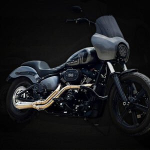 2 Into 1 Exhaust For Harley-Davidson -The Hooligan