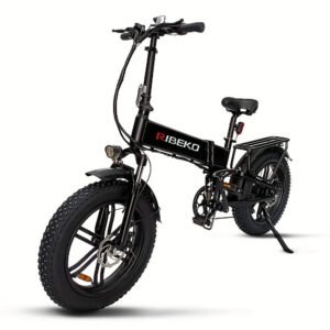 Ebike Electric Bike for Adults 20" ebike Full Suspension 750W Motor Fat Tire Electric Bike Mountain Beach Snow Bike 48V 15Ah Removable Battery 20MPH