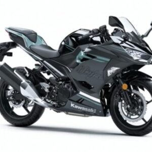 Kawasaki Ninja 400 ABS 2020 - PTR Import And Export