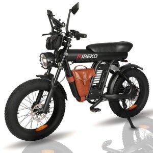 RIBEKO® Black Knight EB-M50 electric dirt bike for adults fat tire Ebike