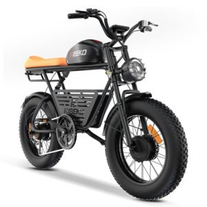 RIBEKO® EB-MX60 2024 electric dirt bike for adults Ebike All-Terrain Dual Motor Super Endurance（80% new)