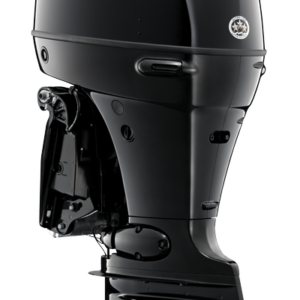 SUZUKI DF100A - PTR Import And Export