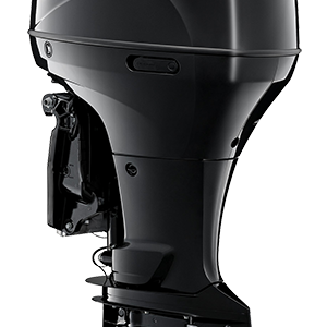 SUZUKI DF175A - PTR Import And Export